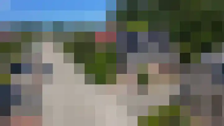 Bomenland 13 Venhuizen thumbnail 79