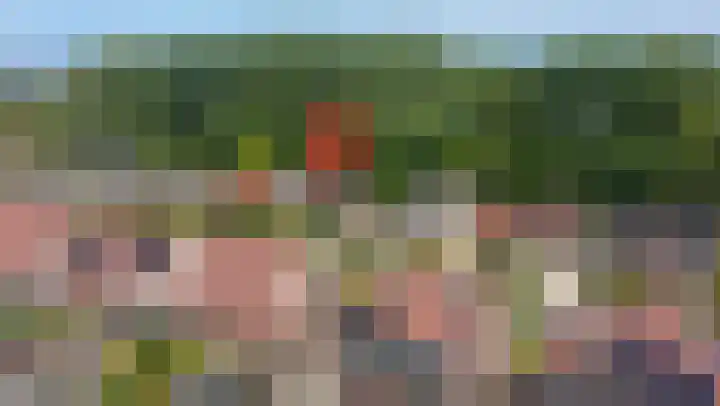 Bomenland 13 Venhuizen thumbnail 86