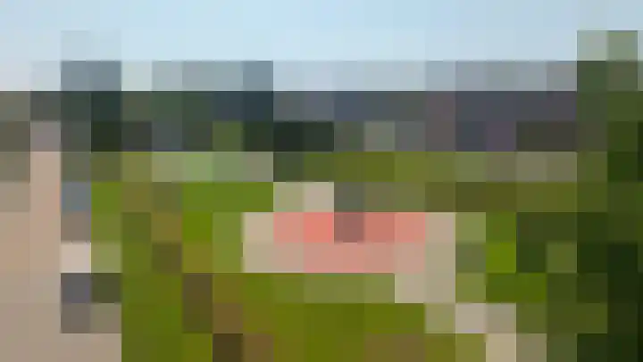 Bomenland 13 Venhuizen thumbnail 87