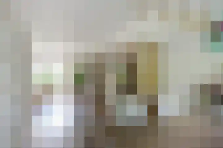 Bomenland 2 Venhuizen thumbnail 10