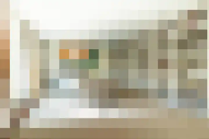 Bomenland 2 Venhuizen thumbnail 11