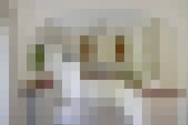 Bomenland 2 Venhuizen thumbnail 11