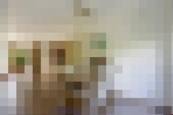 Bomenland 2 Venhuizen thumbnail 13
