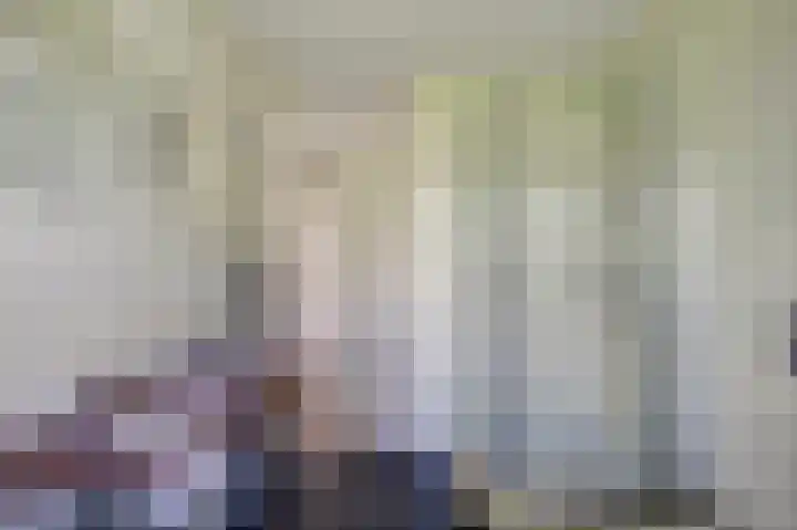 Bomenland 2 Venhuizen thumbnail 16