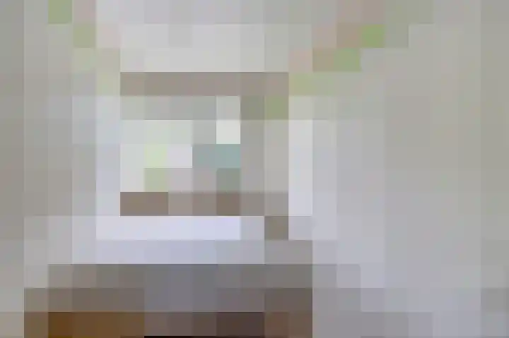 Bomenland 2 Venhuizen thumbnail 18