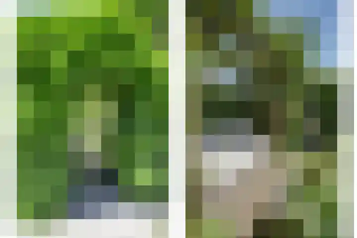 Bomenland 2 Venhuizen thumbnail 26
