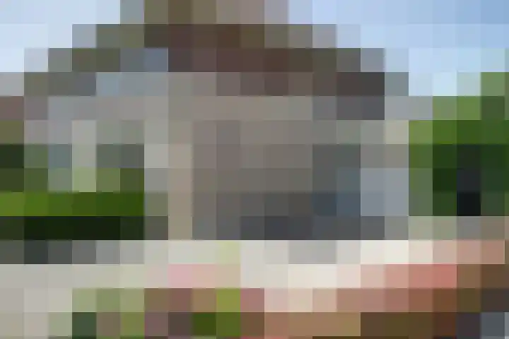 Bomenland 2 Venhuizen thumbnail 31