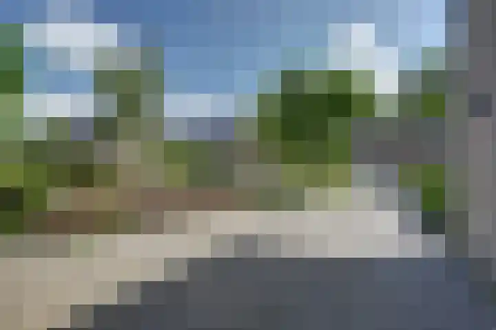 Bomenland 2 Venhuizen thumbnail 32