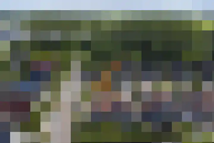 Bomenland 2 Venhuizen thumbnail 36