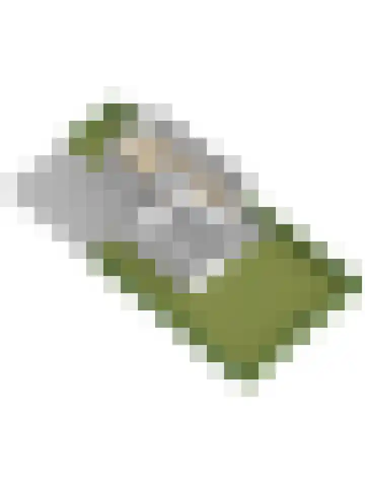 Bomenland 2 Venhuizen thumbnail 38