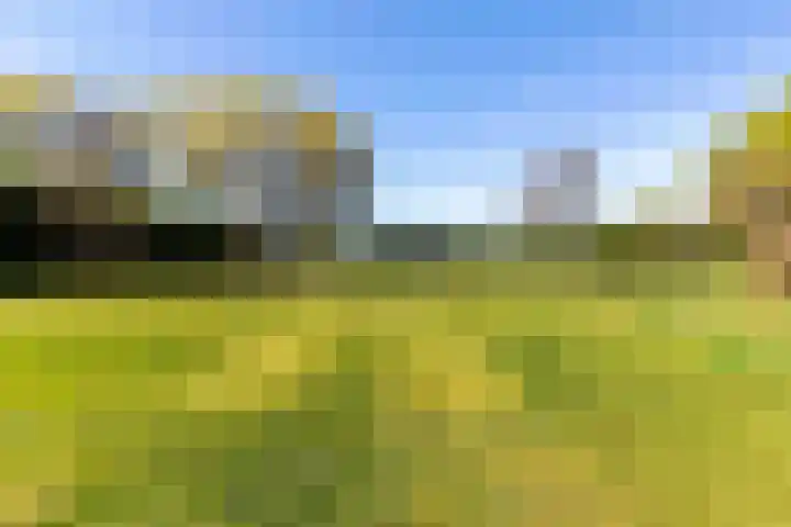Bomenland 2 Venhuizen thumbnail 4