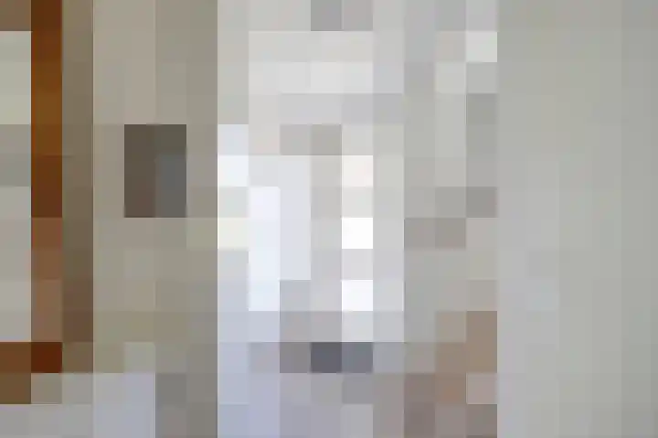 Bomenland 2 Venhuizen thumbnail 5