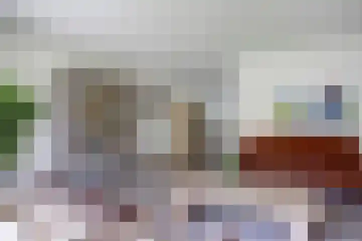 Bomenland 2 Venhuizen thumbnail 7
