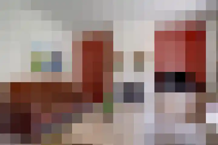 Bomenland 2 Venhuizen thumbnail 8