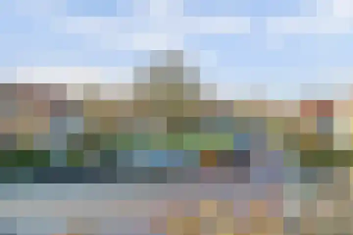 Bomenland 2 Venhuizen thumbnail 9