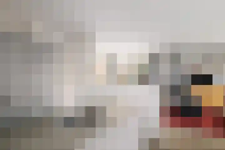 Bomenrand 15 Bathmen thumbnail 10