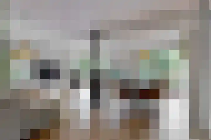 Bomenrand 15 Bathmen thumbnail 15