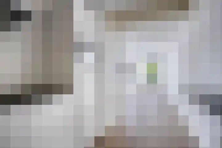 Bomenrand 15 Bathmen thumbnail 25