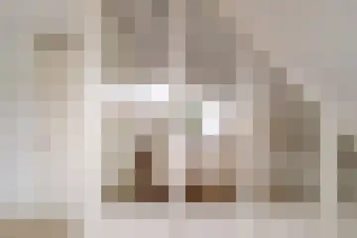 Bomenrand 15 Bathmen thumbnail 27