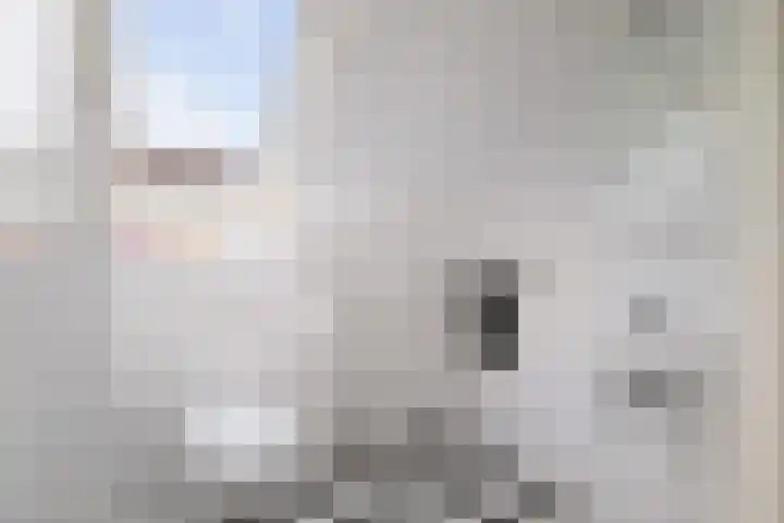 Bomenrand 15 Bathmen thumbnail 34