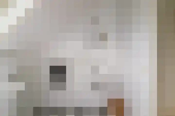 Bomenrand 15 Bathmen thumbnail 35