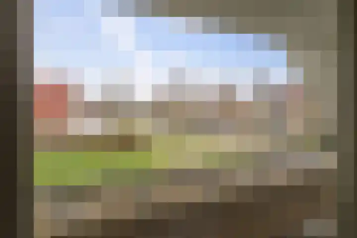 Bomenrand 15 Bathmen thumbnail 36