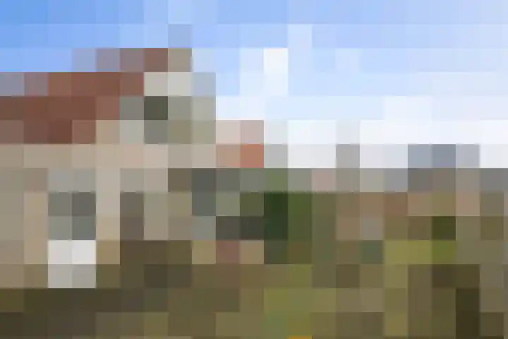 Bomenrand 15 Bathmen thumbnail 37