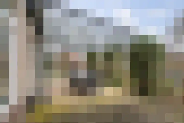 Bomenrand 15 Bathmen thumbnail 38