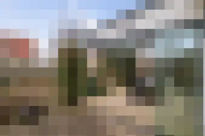 Bomenrand 15 Bathmen thumbnail 39