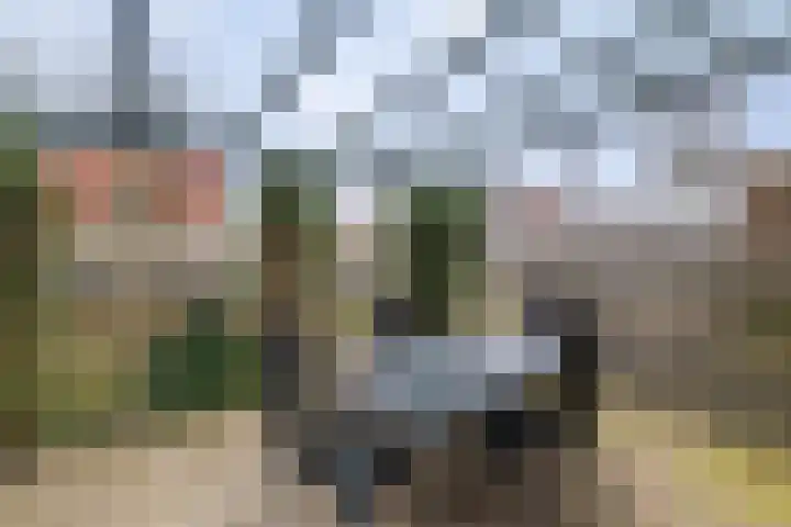 Bomenrand 15 Bathmen thumbnail 40