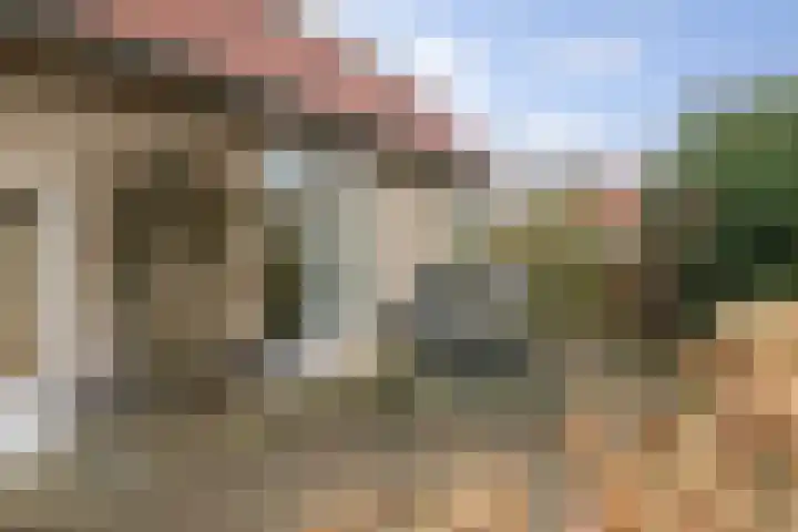 Bomenrand 15 Bathmen thumbnail 41