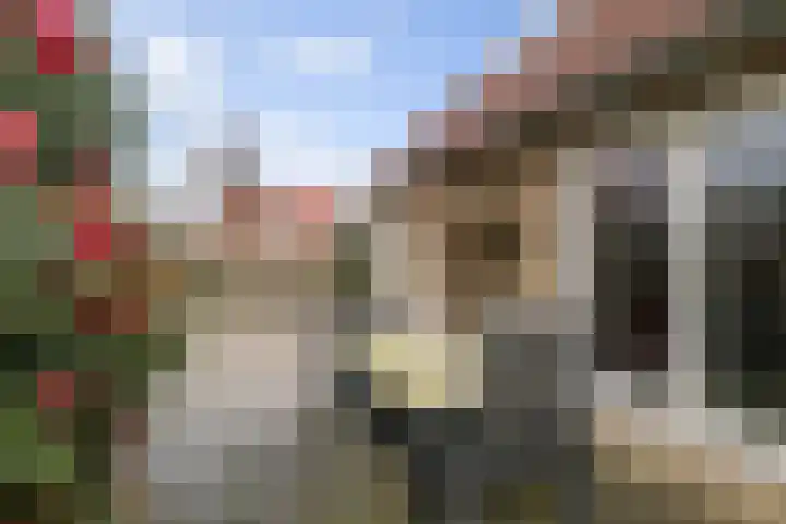 Bomenrand 15 Bathmen thumbnail 43