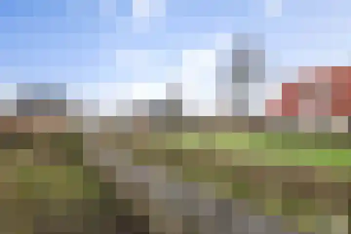 Bomenrand 15 Bathmen thumbnail 44