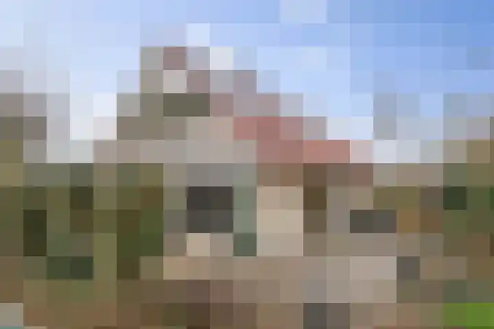 Bomenrand 15 Bathmen thumbnail 45