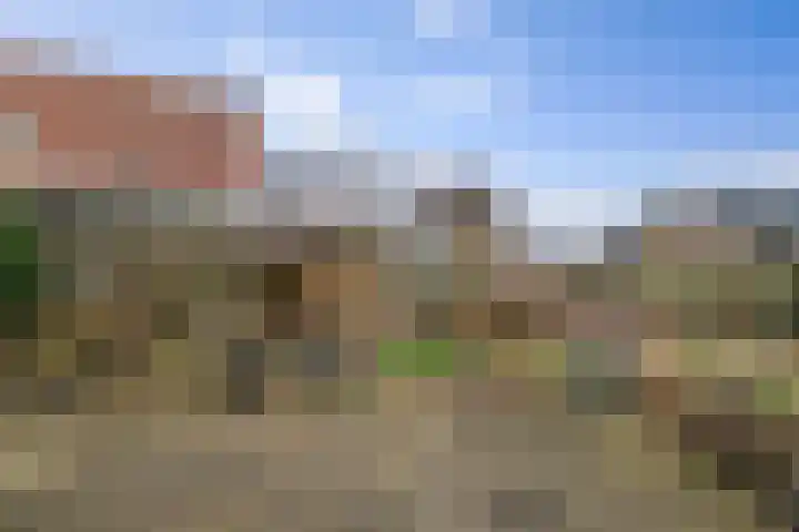 Bomenrand 15 Bathmen thumbnail 46