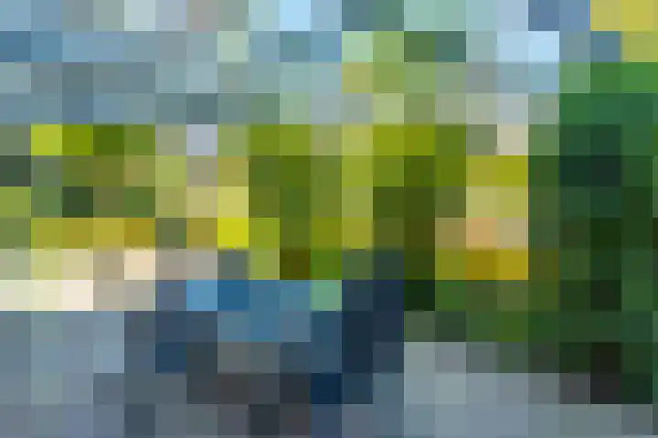 Bomenrand 15 Bathmen thumbnail 47