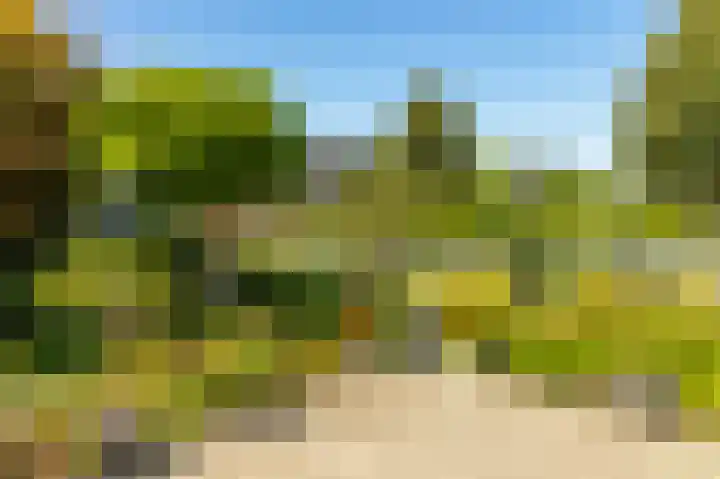 Bomenrand 15 Bathmen thumbnail 48