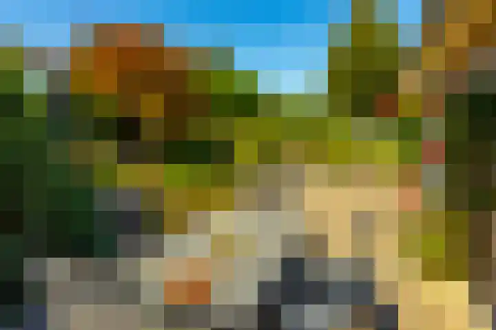 Bomenrand 15 Bathmen thumbnail 49