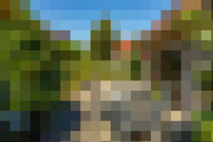 Bomenrand 15 Bathmen thumbnail 50