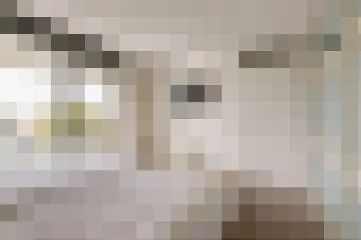 Bomenrand 15 Bathmen thumbnail 51