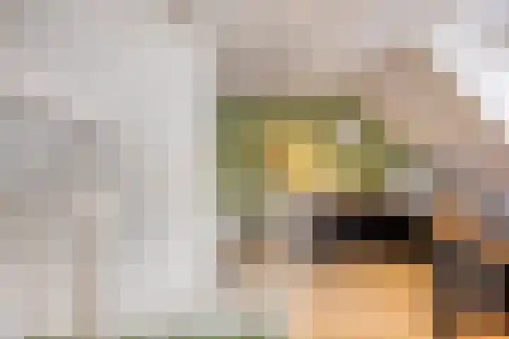 Bomenrand 15 Bathmen thumbnail 53