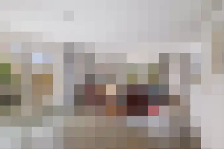 Bomenrand 15 Bathmen thumbnail 6