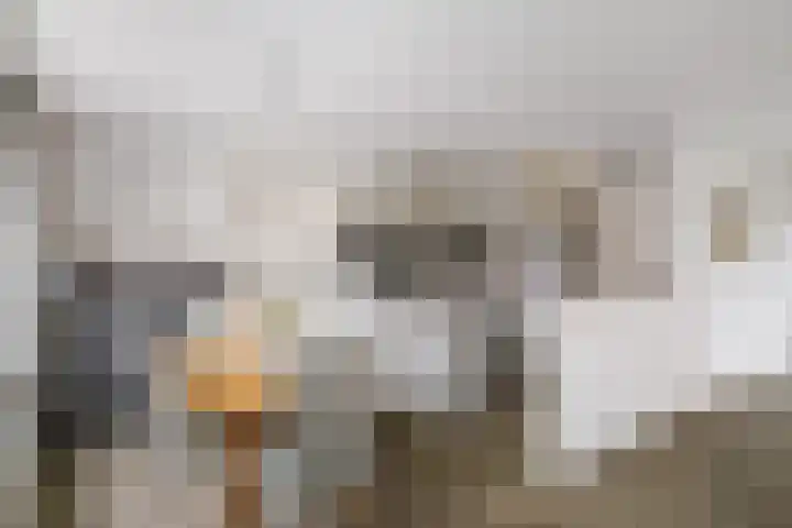 Bomenrand 15 Bathmen thumbnail 9