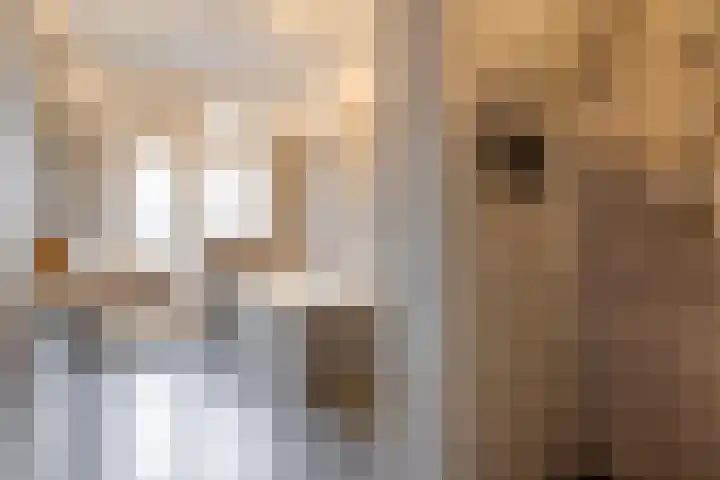 Bonairestraat 92 Amsterdam thumbnail 18