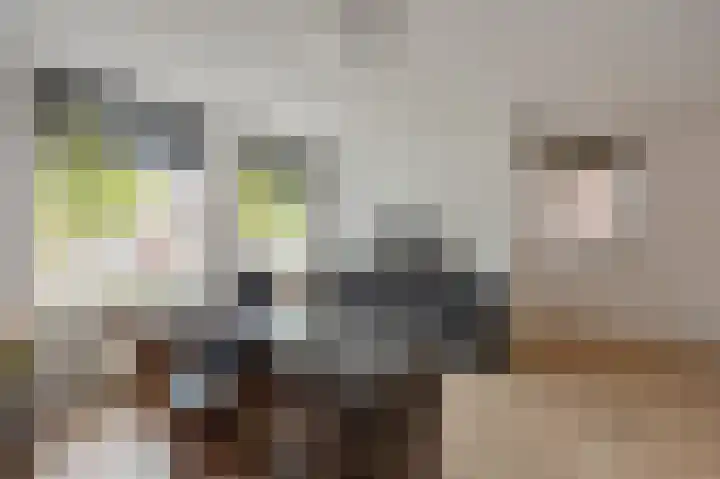 Bonenberg 22 Roermond thumbnail 12