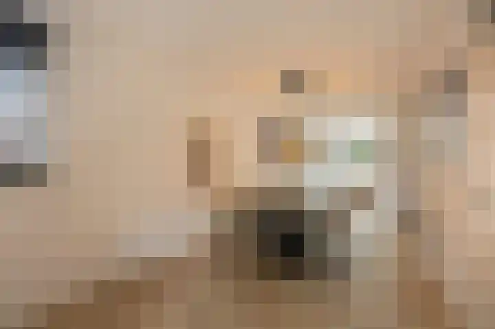 Bonenberg 22 Roermond thumbnail 13