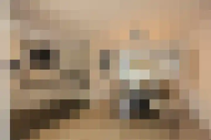 Bonenberg 22 Roermond thumbnail 14