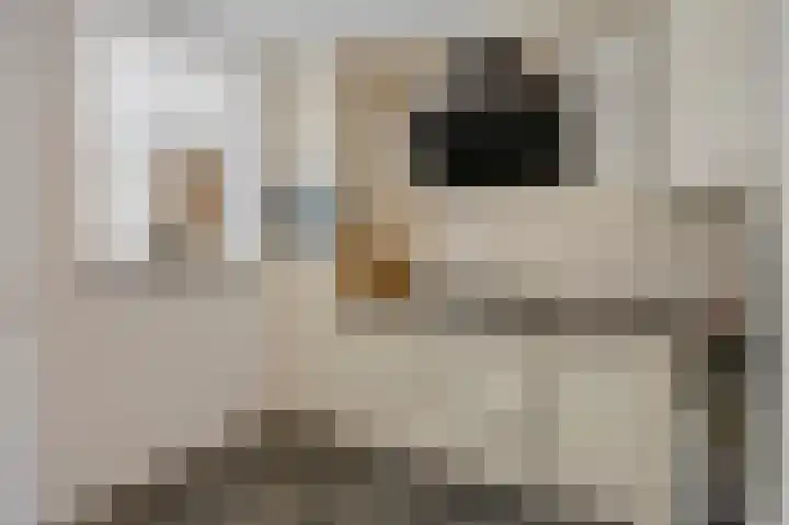 Bonenberg 22 Roermond thumbnail 19