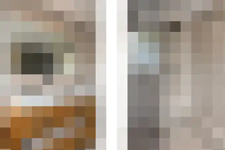 Bonenberg 22 Roermond thumbnail 33