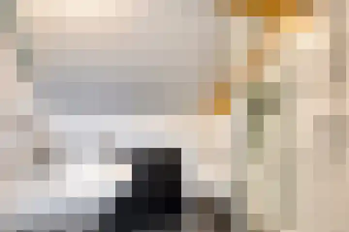 Bonengang 3 Gemert thumbnail 14